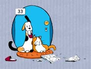 Dodo's House