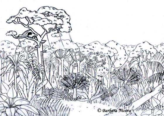 Foresta 1