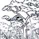 Foresta 1